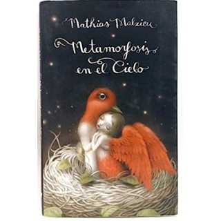 Metamorfosis En El Cielo